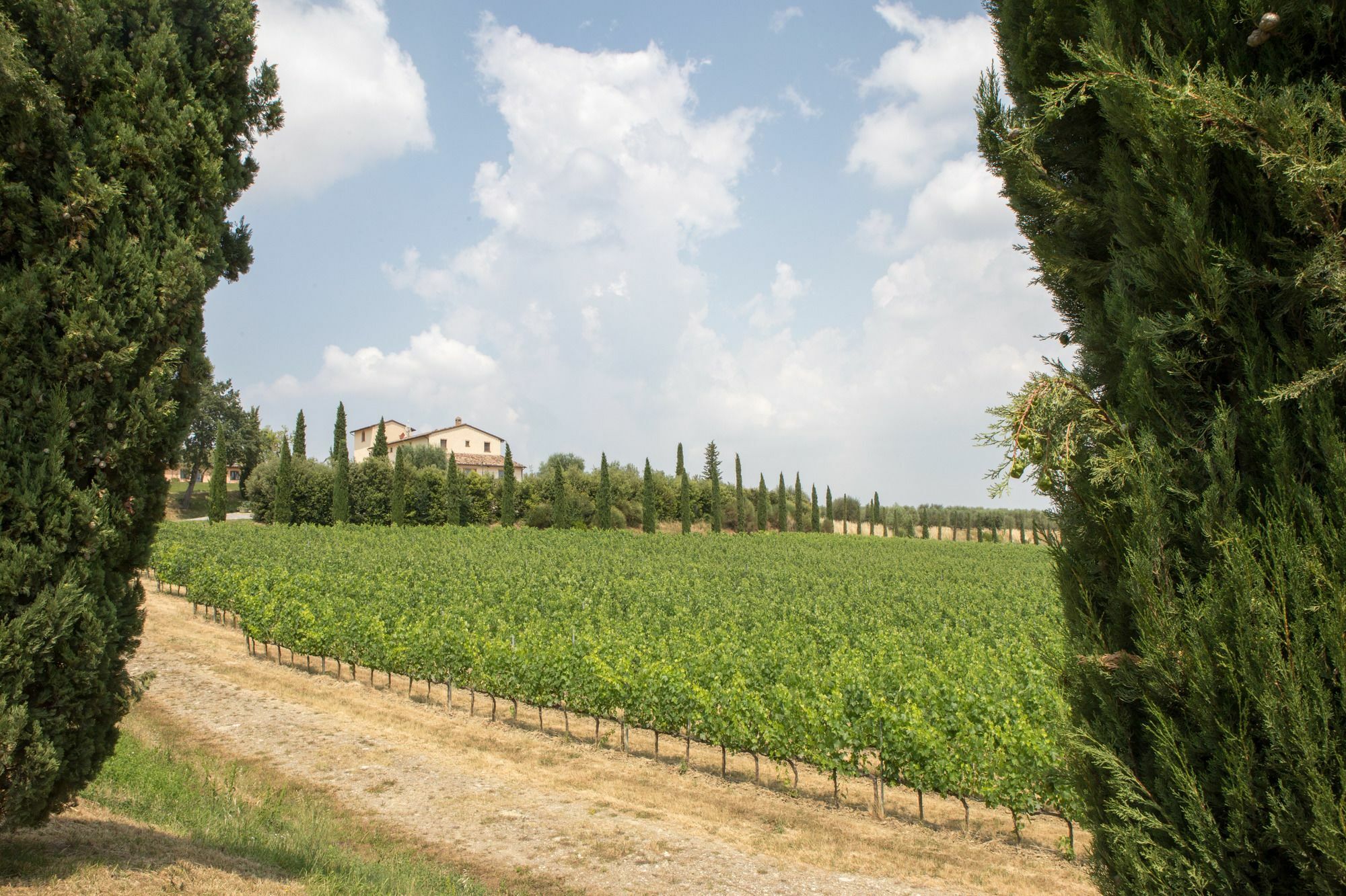 Le Buche Wine Resort&Spa Macciano Zewnętrze zdjęcie