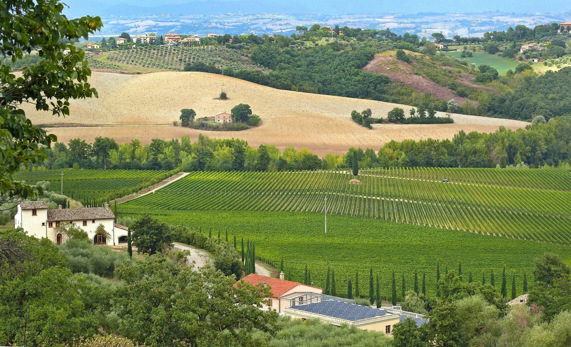 Le Buche Wine Resort&Spa Macciano Zewnętrze zdjęcie